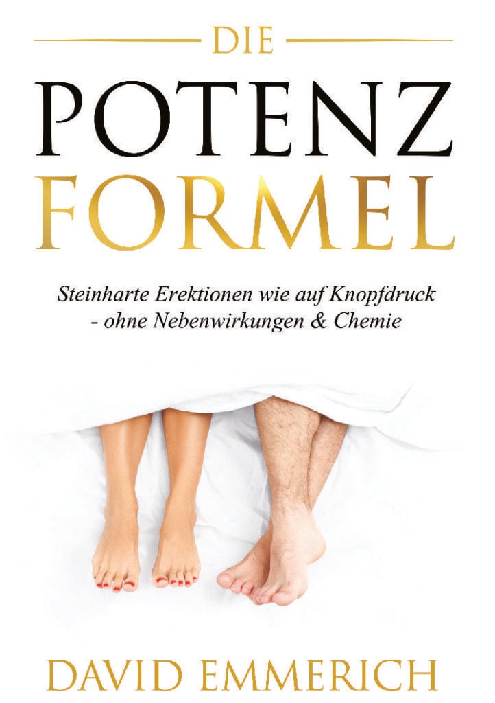 Die PotenzFormel Buch