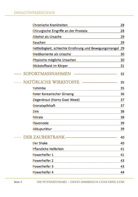 Inhaltsvorschau
